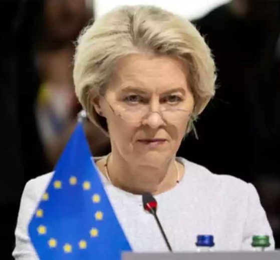 2025 12 934643022 1.png