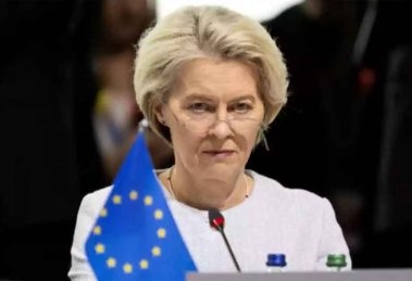 2025 12 934643022.png