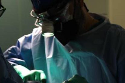 2025 12 937453136 1.png