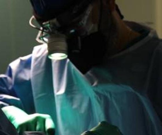 2025 12 937453136 1.png