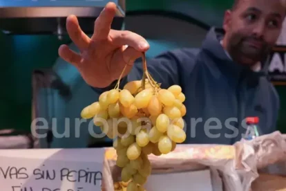 2025 12 937868044.png