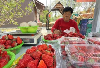 2026 01 938264046 1.png