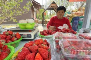 2026 01 938264046.png