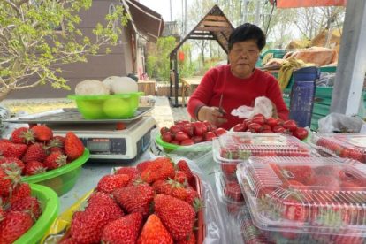 2026 01 938264046.png