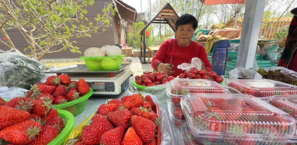 2026 01 938264046.png