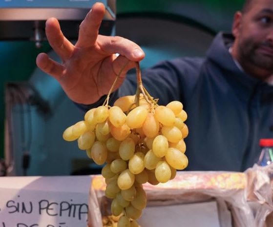 2026 01 938264090.png