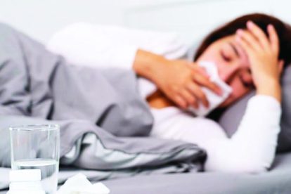 2026 01 939693396 3.png