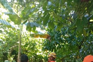 2026 01 941053243.png