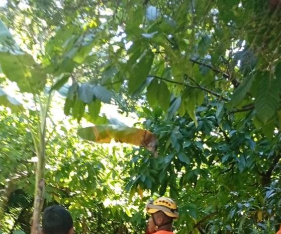 2026 01 941053243.png