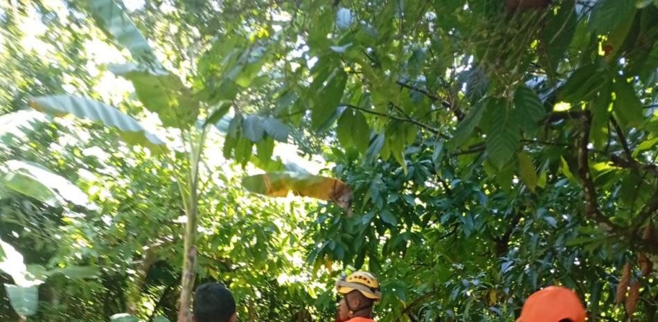 2026 01 941053243.png