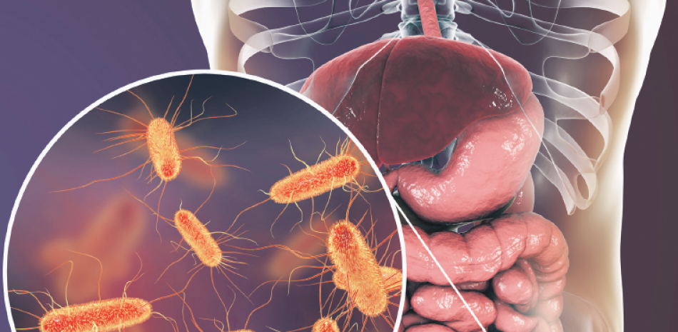 2026 01 943538784 1.png