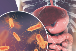 2026 01 943538784 2.png