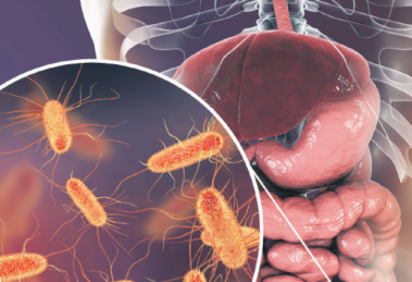 2026 01 943538784 2.png