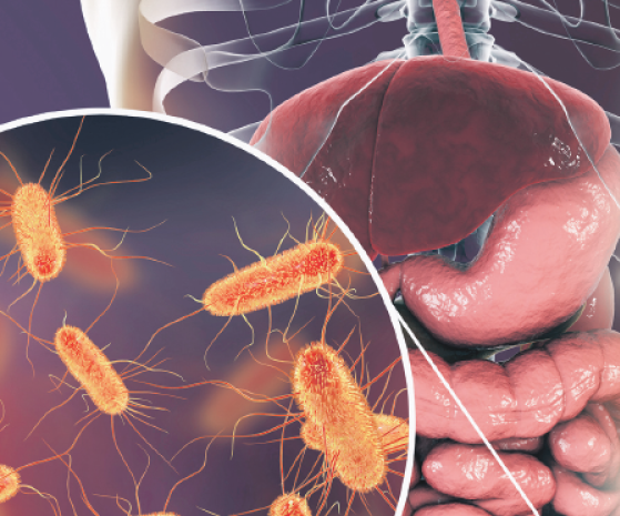 2026 01 943538784 2.png