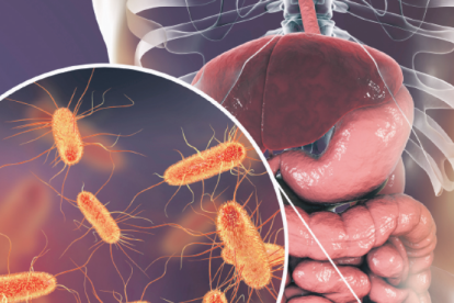 2026 01 943538784.png