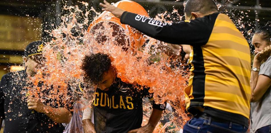 2026 01 949617509.png