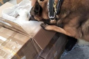 2026 01 952811623.png