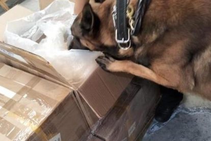 2026 01 952811623.png