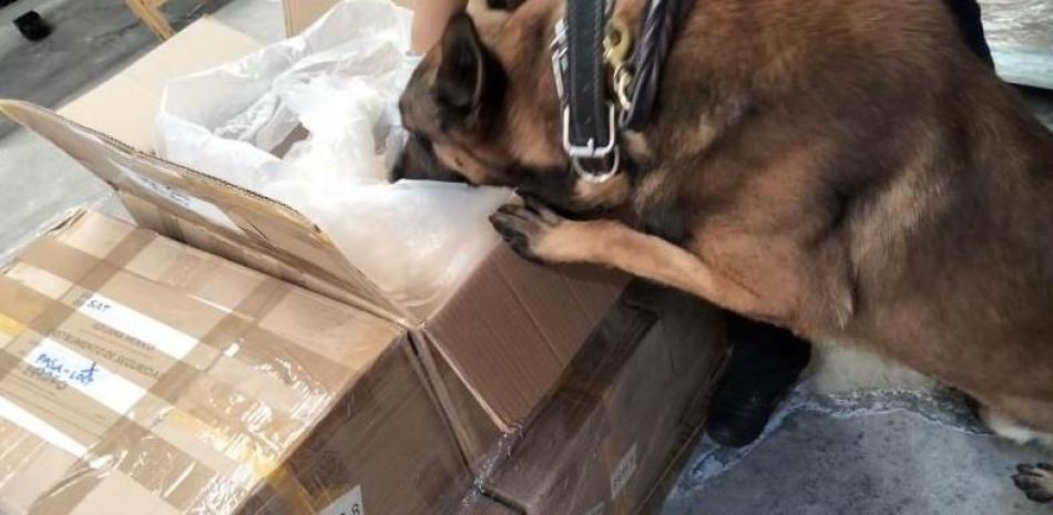 2026 01 952811623.png