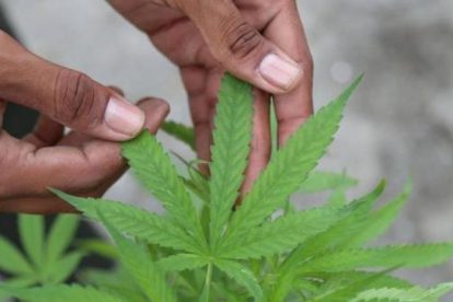 2026 01 956000988.png