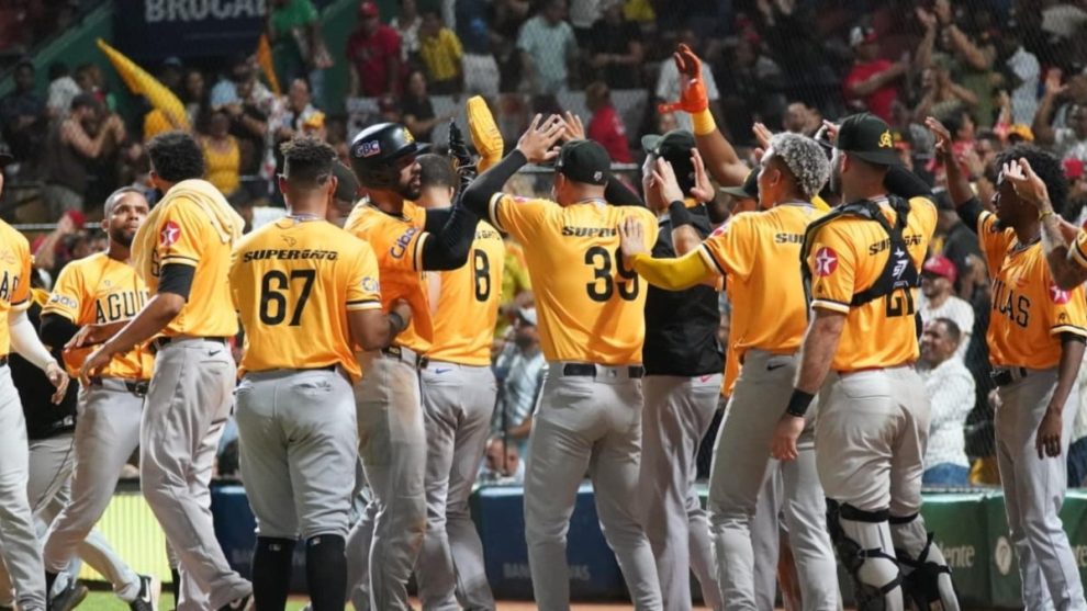 2026 01 956066024.png