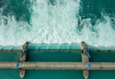 2026 01 956098517 1.png