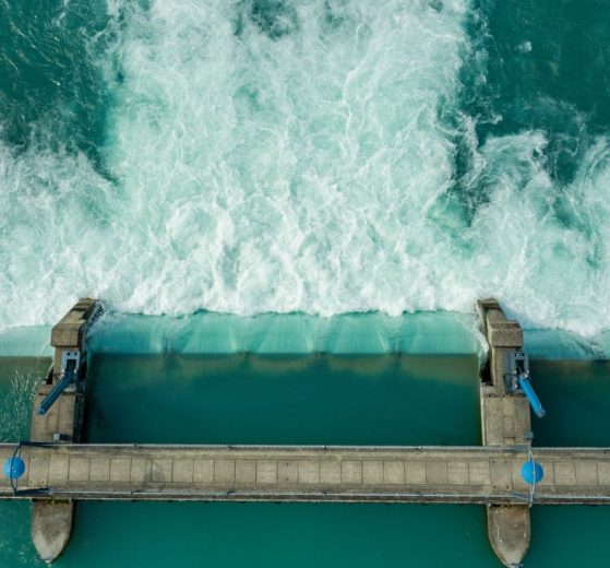 2026 01 956098517.png