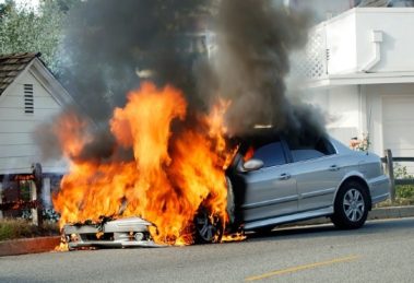 2026 01 956175338.png