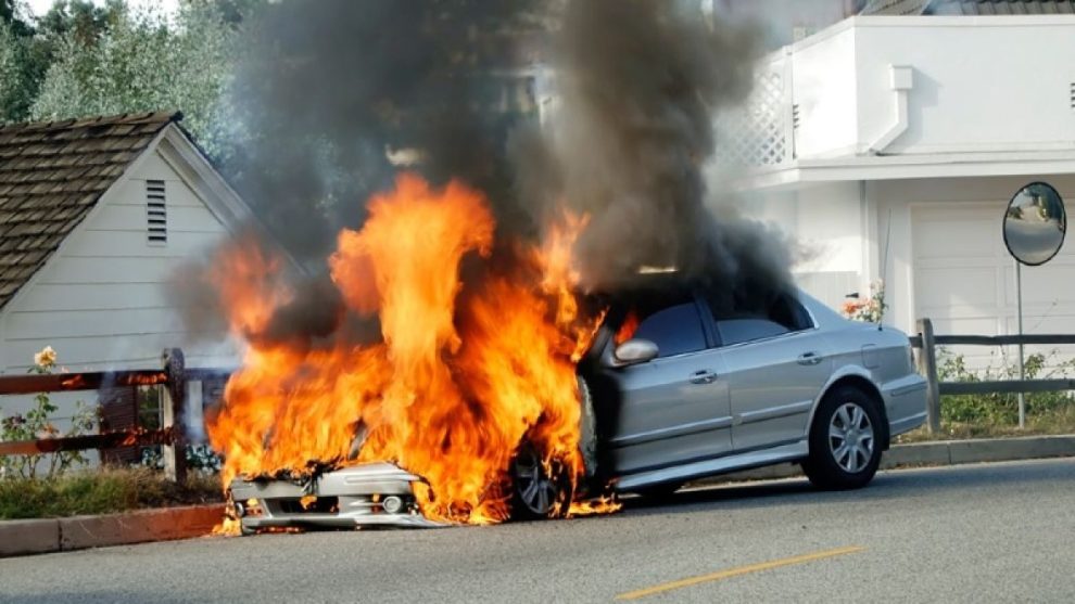 2026 01 956175338.png