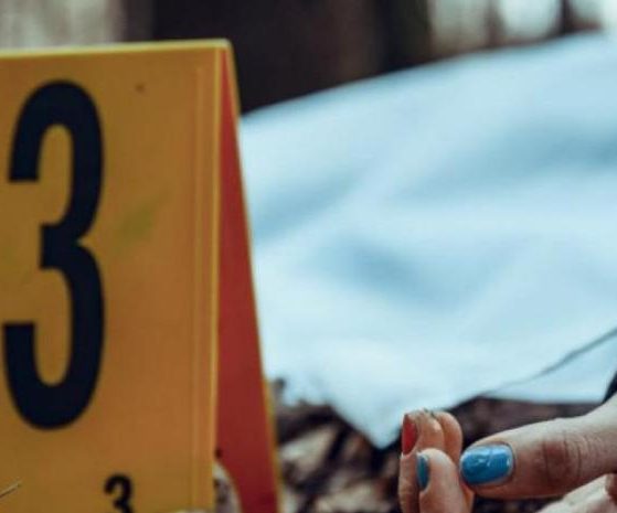 2026 01 956334008.png