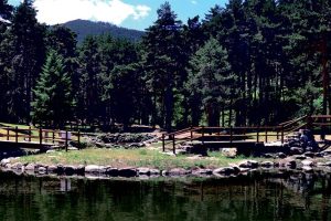 2026 01 957690201 1.png