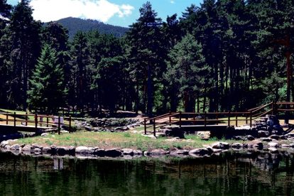 2026 01 957690201 1.png