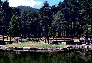 2026 01 957690201 2.png