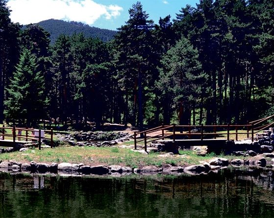 2026 01 957690201 2.png