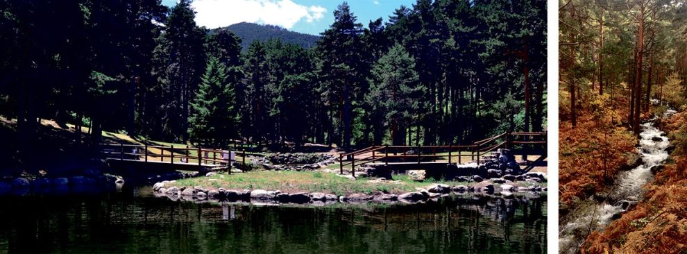 2026 01 957690201 2.png