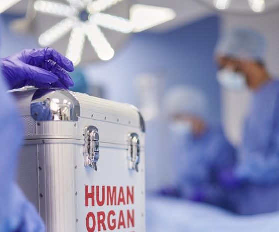 2026 01 958005430 1.png