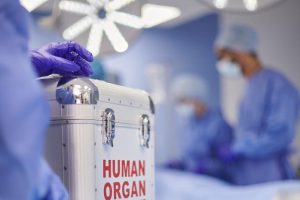 2026 01 958005430.png