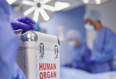 2026 01 958005430.png