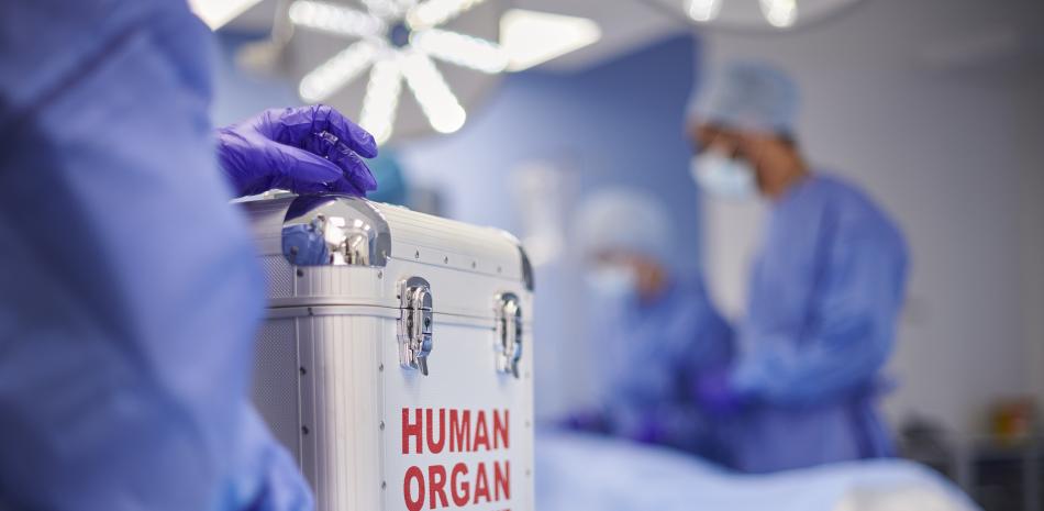 2026 01 958005430.png