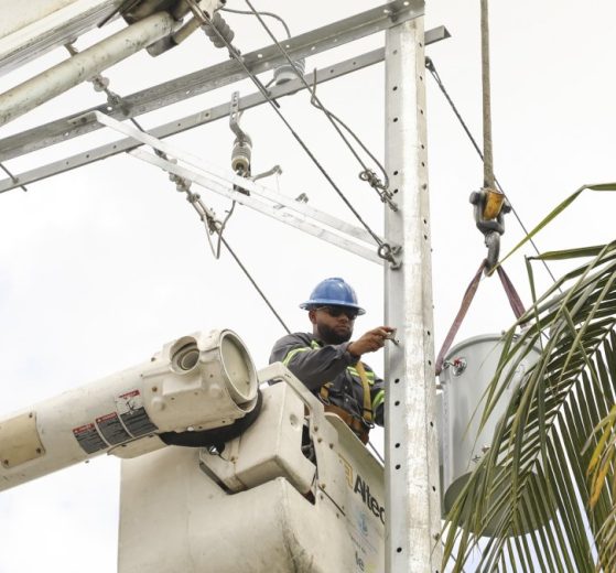 2026 01 958275456.png