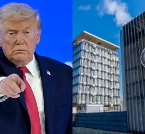 2026 01 958425049.png