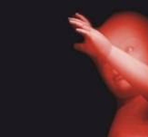 2026 01 958452408 1.png