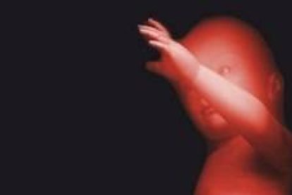 2026 01 958452408.png