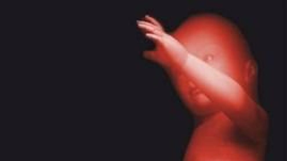 2026 01 958452408.png