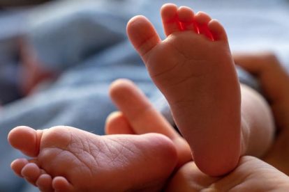 2026 01 958588388 1.png