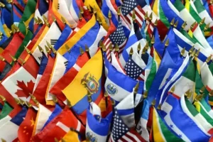 2026 01 958591083.png