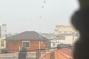 2026 01 959410565.png