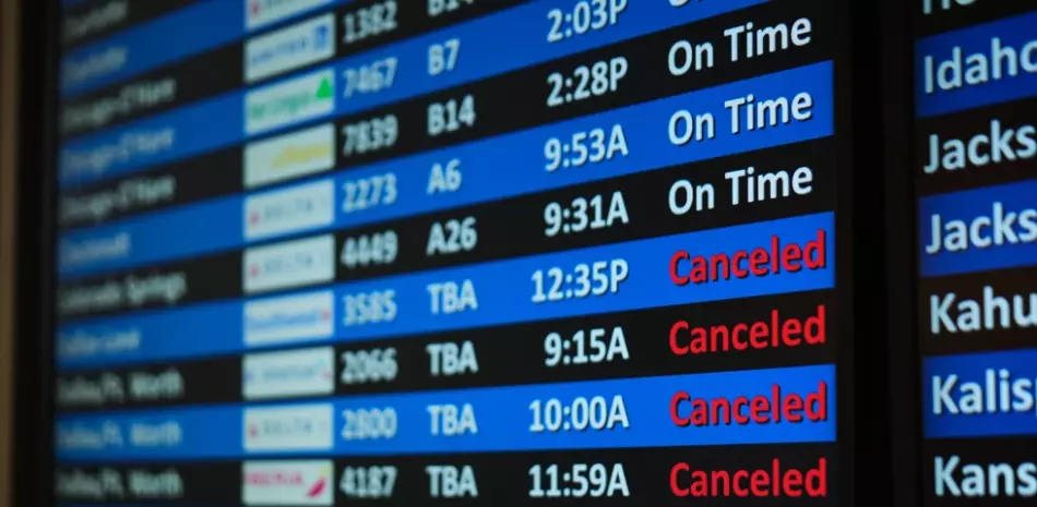 2026 01 960277081.png