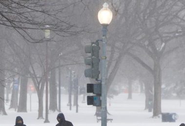 2026 01 960659849.png