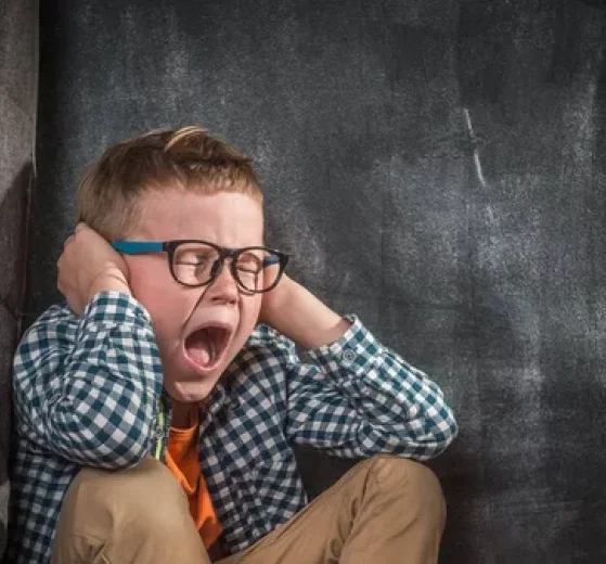 2026 01 960967021.png